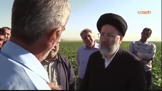 بازدید تولیت آستان قدس رضوی از موسسه کشت و صنعت مزرعه نمونه آستان قدس رضوی