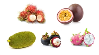 میوه‌های لاکچری به قیمت فضایی/ «جک‌فروت» کیلویی 500‌هزار تومان؛ «گارسینیا کامبوجیا» تمام شد!