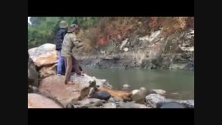 فیلم هیجانی زیباترین ماهیگیری بزرگ با لنسر در رودخانه