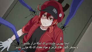 انیمه (Hataraku Saibou) قسمت اول بازیرنویس فارسی