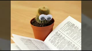 اعتمادبه نفس باآموزش مستمر