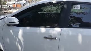 نصب پاور ویندوز و آینه برقی سراتو سایپا - ماهان اسپرت