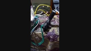 بانک خازنی برای اسلحه گان