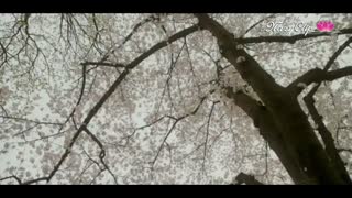 میکس سریال کره ای عشق بی پرواغمگین خیلی قشنگ شده با صدای مرتض پاشایی دوست دارم