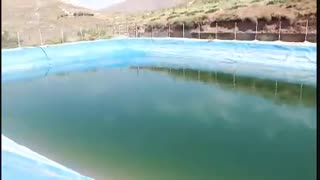 قهرمانان همت و تلاش - برداشت شانزدهم