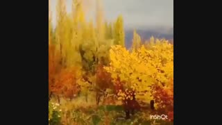 خزان بی نظیر پاییزی طالقان