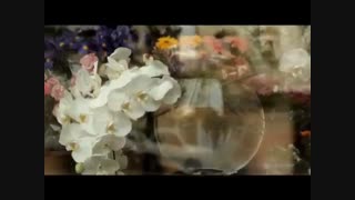 تریلر فیلم  دعوت به چای - نوید محمدزاده و گلی امامی