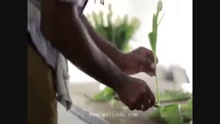 آموزش گل آرائی گلدان لاله