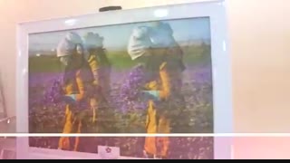 هفته فرهنگی خراسان رضوی