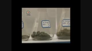 مرکز ملی ذخایر ژنتیکی و زیستی ایران