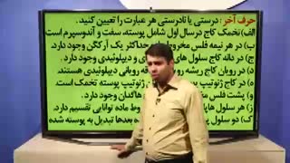 مبحث نهاندانگان حرف اخر استاد شعبانی