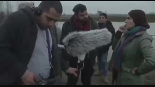 ویدیوی پشت صحنه فیلم سینمایی «مشمشه» شاهد احمدلو