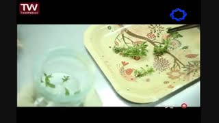 بانکهای زیستی مرکز ملی ذخایر ژنتیکی وزیستی -برنامه چرخ