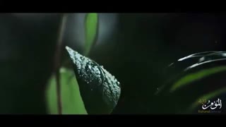 قبل از آفرینش خالق هستی چه می کرد؟