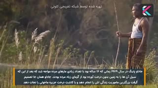 مرد هندوستانی که به تنهایی یک جنگل ساخته است