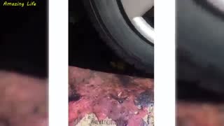 له کردن اسلایم و..با ماشین★فالو=فالو★کپی ازاد