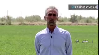 کار آفرینی در زمین بایر