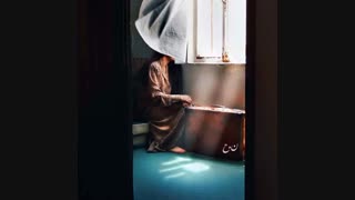 مرغ سحر
