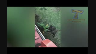 قهرمان پرش