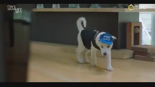 دانلود قسمت سوم مینی سریال کره ای ستاره جهانی The Universes Star 2017 با بازی سوهو [ لیدر اکسو ] + زیرنویس فارسی آنلاین