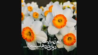 علائم نهایی پیش از ظهور امام زمان عج چیست؟