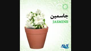 آرامش بخش های طبیعت را بشناسید