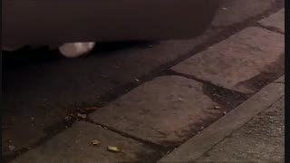 سریال دکتر هو مدرن قسمت هشتم فصل اول(زیرنویس فارسی)