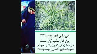میدونین اینا چیه؟؟!!!!