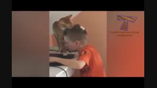 محبت گربه به صاحبش