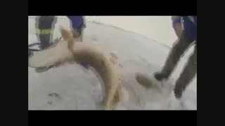 اردک ماهیگیری با انبر و روش جدید