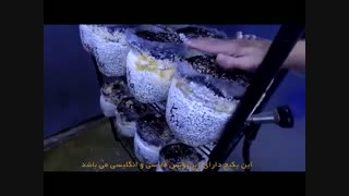 کاملترین آموزش پرورش قارچ دکمه ای_09130919448.www.118file.com