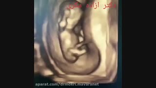 روند رشد جنین