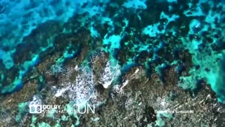 تکنولوژی Dolby Vision در تلویزیون 4k