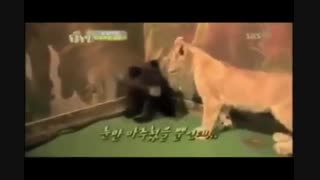 نترس بابا، این بچه س