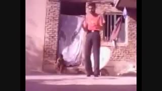 پلنگ خنده روده بور میشی ،،