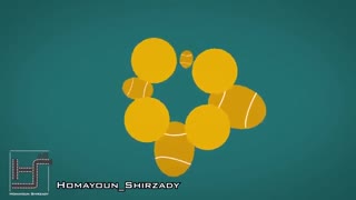 موشن گرافیک تبلیغاتی پت شاپ - سفارش موشن گرافیک