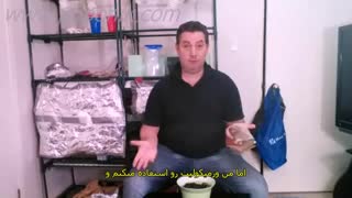 آموزش کاشت بذر گل رز