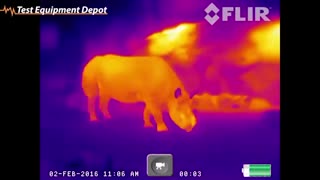 دوربین دید در شب، دوربین حرارتی FLIR Scout TK