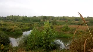 شروع فصل پاییز در گیلان از سایت به روز آگهی