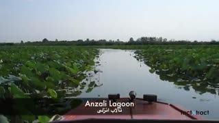 ایران را باید دید ...