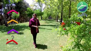 محیط زیست و پاکلین