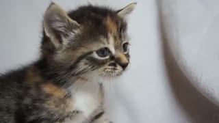 عاقا من نمیدونم تو کانالم چی بزارم ×_× ÷_÷ =_=