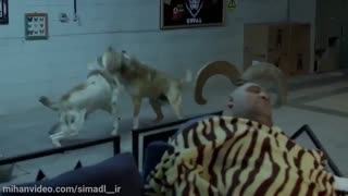 دانلود فیلم کوپال با لینک مستقیم ( فیلم ) ( سینمایی ) دانلود فیلم کامل کوپال