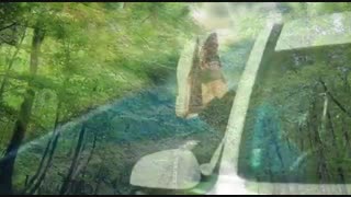 اجاره ماشین / اجاره شیک ترین ماشین ها / قیمت مناسب