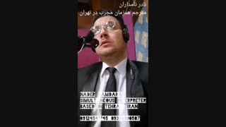نادر نامداران مترجم همزمان سازمان ملل در تهران