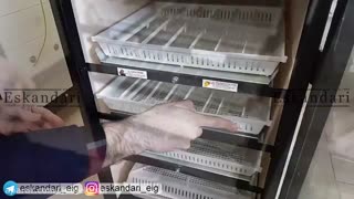 دستگاه جوجه کشی آرکام