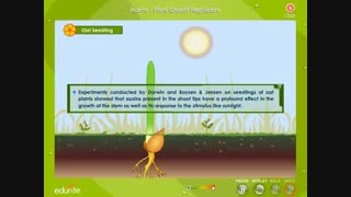 تنظیم کننده رشد گیاه | هورمون اکسین