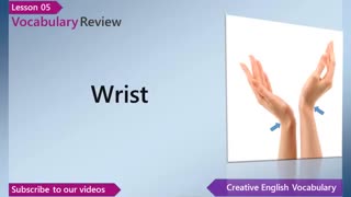 (Learn English – English Vocabulary Lesson 5 – Body Parts (Human Body