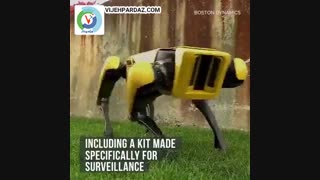 ربات اسپات مینی به بازار می آید