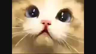 فردا مث عادم میام ....